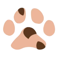 Ícono de la app My Pet City